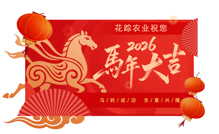 马年大吉