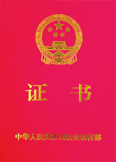 荣誉证书
